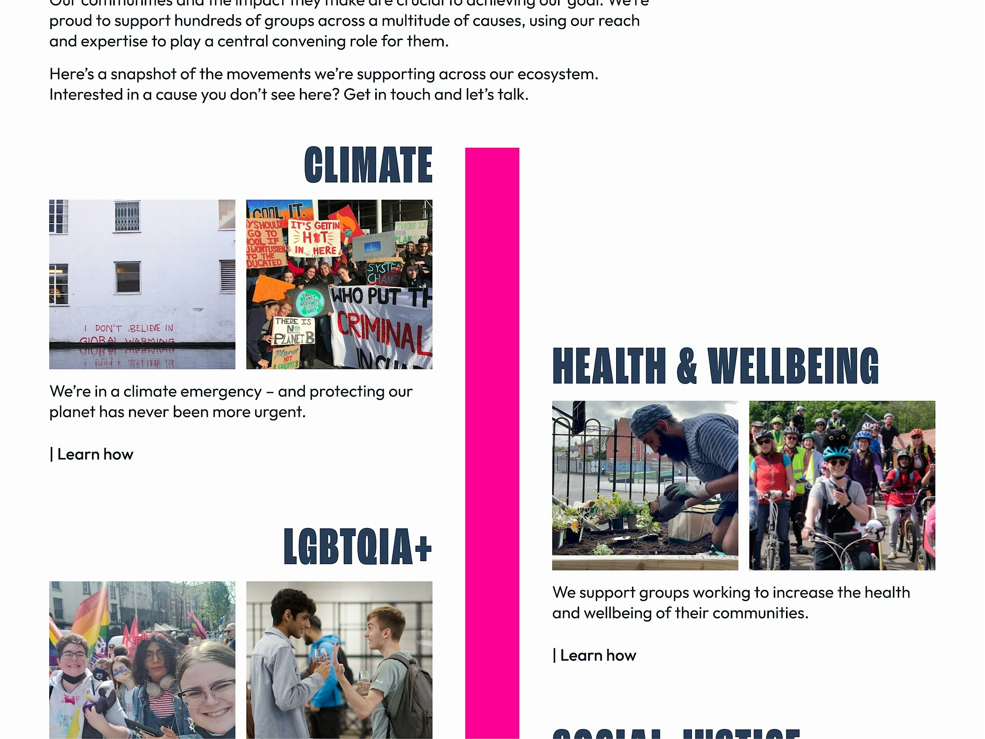 Website page design for The Social Change Nest showing their impact on the social change landscape