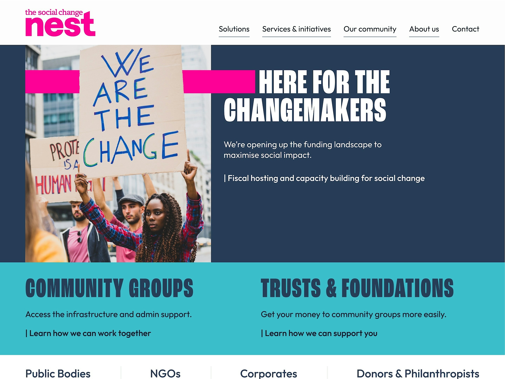 Landing page design for The Social Change Nest